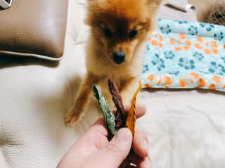 이대현님이 올린 리뷰 사진 2
