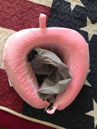 김미옥님이 올린 리뷰 사진 1