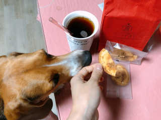 cobemom님이 올린 리뷰 사진 1