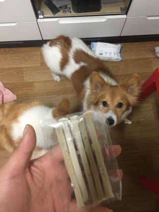 지나쒸님이 올린 리뷰 사진 4
