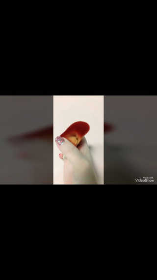 Honey Trap 멀티앵글드파운데이션 브러쉬+매직 퍼프,브러쉬클렌저 — 5점을 준 리뷰어가 2017년 11월 올린 사용 사진