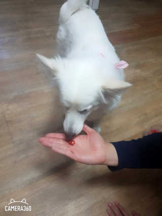 서희석님이 올린 리뷰 사진 3