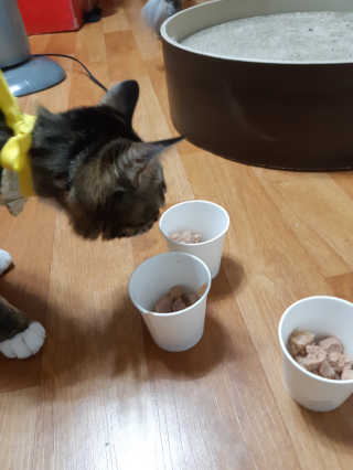 유진님이 올린 리뷰 사진 3