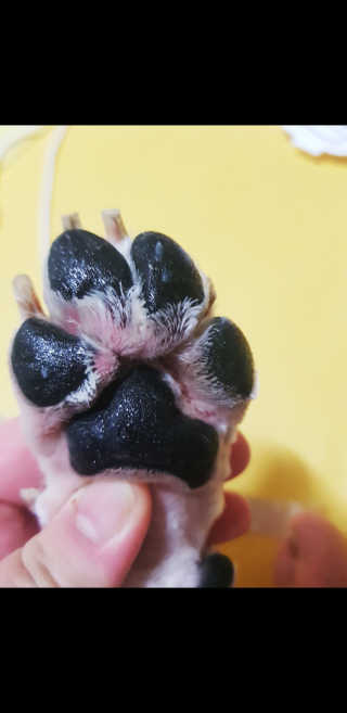 콜보리님이 올린 리뷰 사진 2