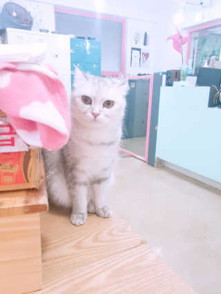 옹몽꽁맘님이 올린 리뷰 사진 2