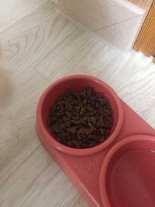 김주은님이 올린 리뷰 사진 2