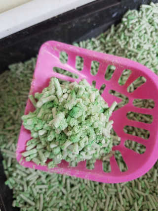 열일합시다님이 올린 리뷰 사진 1