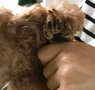ChristineUm님이 올린 리뷰 사진 2