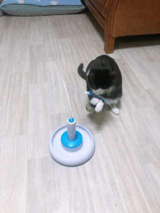 yooni님이 올린 리뷰 사진 2