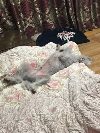 하루콩콩님이 올린 리뷰 사진 3