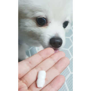 심쿵해에님이 올린 리뷰 사진 2