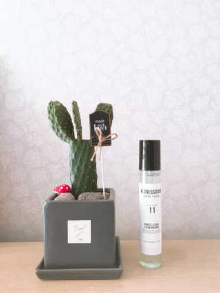 더블유드레스룸 신규향 드레스퍼퓸150ml — 3점을 준 리뷰어가 2018년 9월 올린 사용 사진