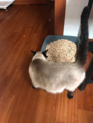 SIENA님이 올린 리뷰 사진 2