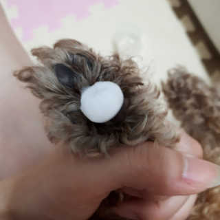 김민주님이 올린 리뷰 사진 3
