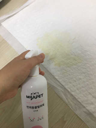 홍지윤님이 올린 리뷰 사진 1