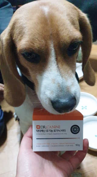 beaglelove님이 올린 리뷰 사진 1
