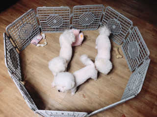 sezziChu님이 올린 리뷰 사진 2