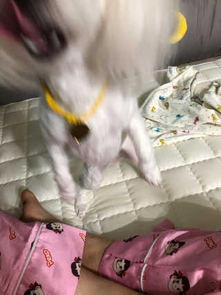 춘자도하님이 올린 리뷰 사진 3