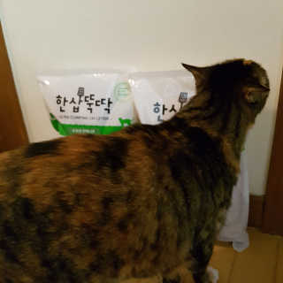 펭귄쨩님이 올린 리뷰 사진 3