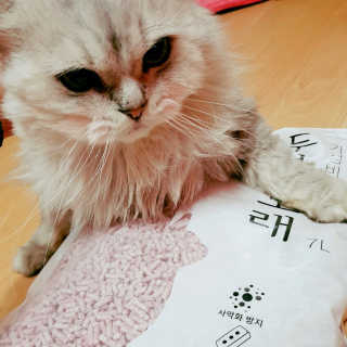 이영실님이 올린 리뷰 사진 3