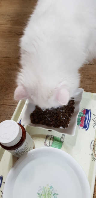 영니님이 올린 리뷰 사진 4