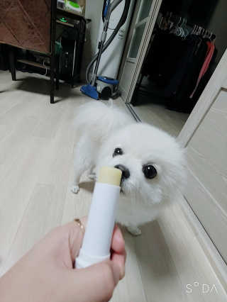 임봉구님이 올린 리뷰 사진 2