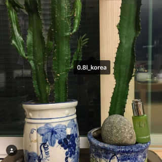 1225daily님이 올린 리뷰 사진 1