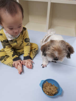 민우다빈이맘님이 올린 리뷰 사진 4