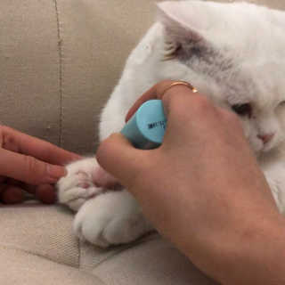 슬기님이 올린 리뷰 사진 3