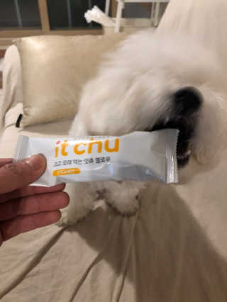 엘빈님이 올린 리뷰 사진 1
