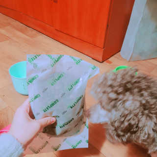 이예림님이 올린 리뷰 사진 3