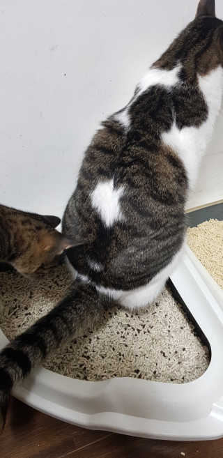 지안교님이 올린 리뷰 사진 4