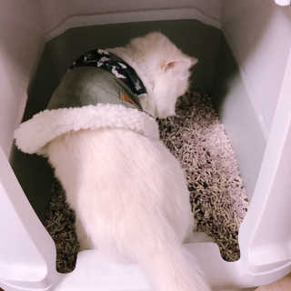 옘둥님이 올린 리뷰 사진 1