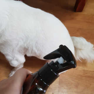 곽현정님이 올린 리뷰 사진 4