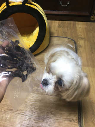 다쏘옴님이 올린 리뷰 사진 1