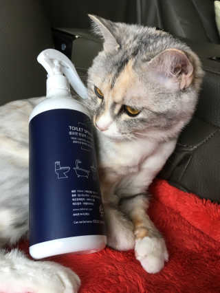 셀로몬 토일렛 스프레이 500ml — 4.17점을 준 리뷰어가 2018년 5월 올린 사용 사진