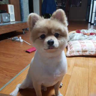 ming님이 올린 리뷰 사진 3