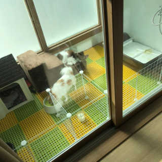 hasso님이 올린 리뷰 사진 1