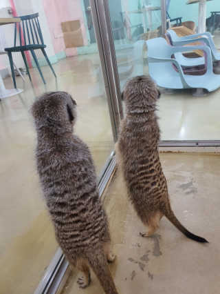 효티님이 올린 리뷰 사진 2