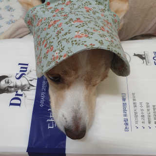 엘리님이 올린 리뷰 사진 1