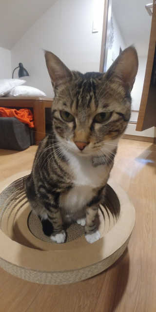셍블리님이 올린 리뷰 사진 3