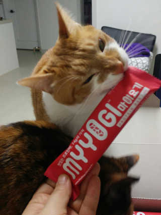 오나오나님이 올린 리뷰 사진 1