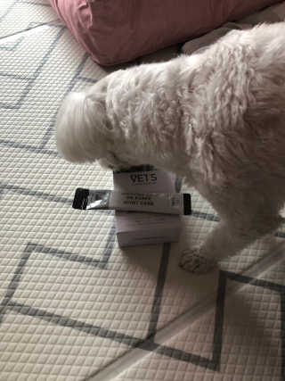 솜이공주님이 올린 리뷰 사진 2