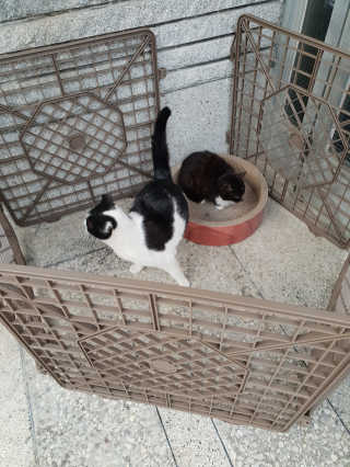 흐큑흐큑님이 올린 리뷰 사진 3