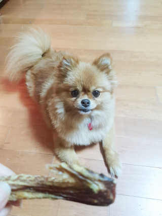 YulaKim님이 올린 리뷰 사진 4