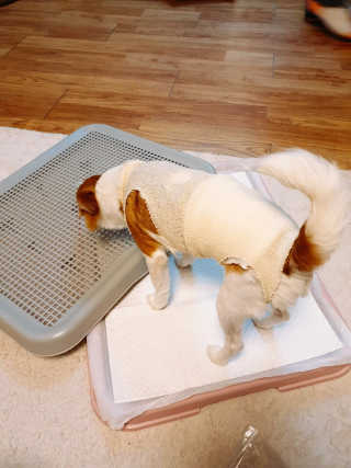 DaminSong님이 올린 리뷰 사진 1
