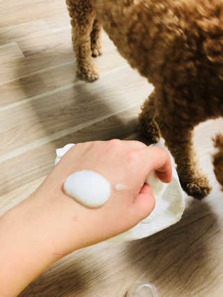 공블리님이 올린 리뷰 사진 2
