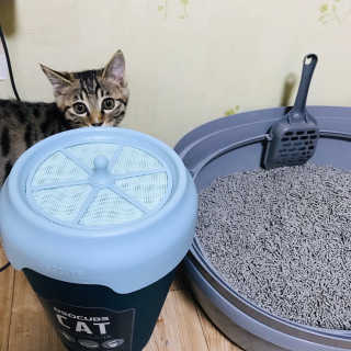 한솔🙄님이 올린 리뷰 사진 2