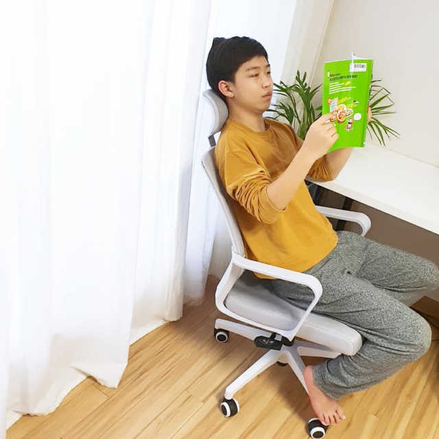 린백+팬톤 책상의자 LB13PT 리뷰 사진