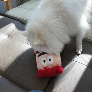 복디누나님이 올린 리뷰 사진 3
